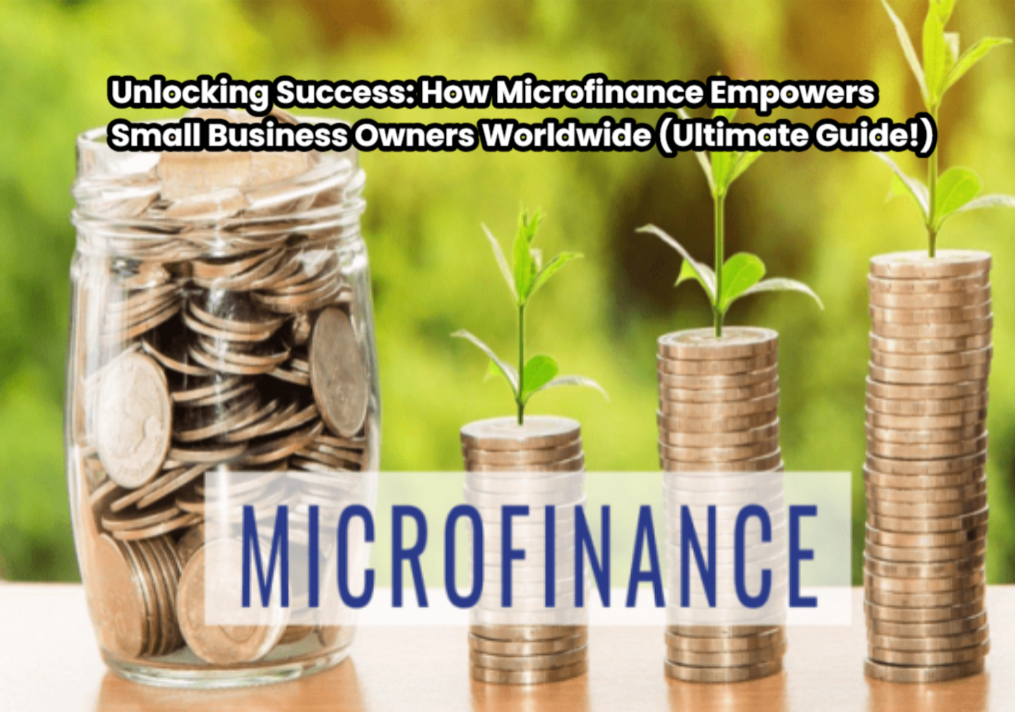 Screenshot 2025 03 16 130137 Unlocking Success: How Microfinance Empowers Small Business Owners Worldwide (Ultimate Guide!) Microfinance Empowers Small Business Owners Worldwide